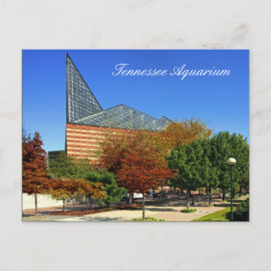 Carte Postale L'aquarium du Tennessee - Chattanooga, TN.