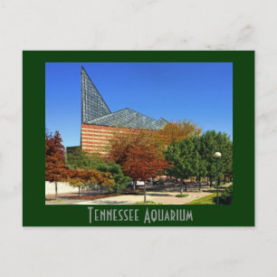 Carte Postale L'aquarium du Tennessee - Chattanooga, TN.