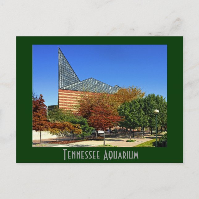 Carte Postale L'aquarium du Tennessee - Chattanooga, TN. (Devant)