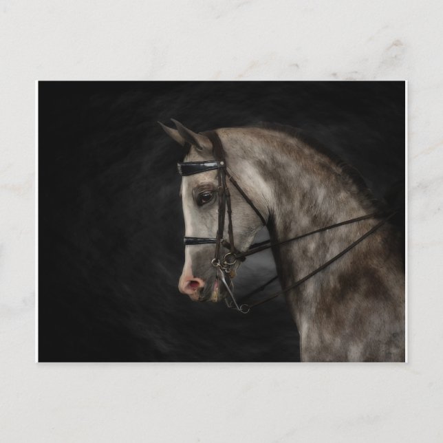 Carte Postale L'arabe classique (Devant)