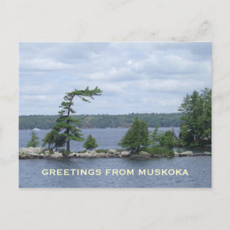 Carte Postale L'arbre coudé, Muskoka, Ontario, Canada