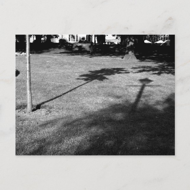 Carte Postale L'arbre et le lampadaire étaient amis (Devant)