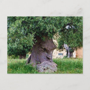 Carte Postale L'Arbre Pensant à Pugia
