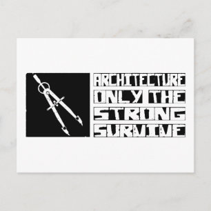 Carte Postale L'architecture survit