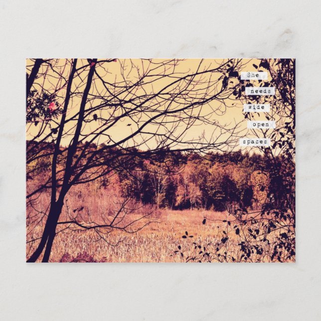 Carte postale Large Open Spaces II (Devant)