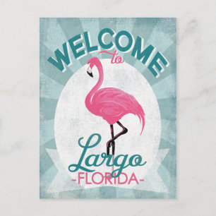 Carte Postale Largo Florida Flamant rose rose Retro