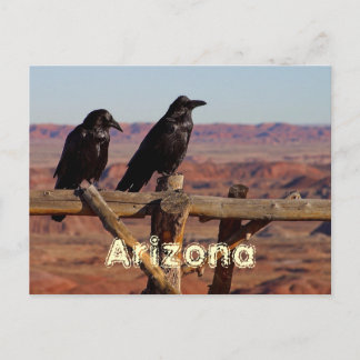 Carte Postale L'Arizona