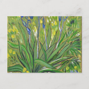Carte Postale L'art de Van Gogh  Iris, reproduction acrylique