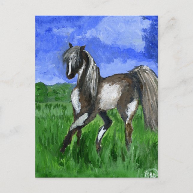 Carte Postale L'art du cheval de Dreamer (Devant)