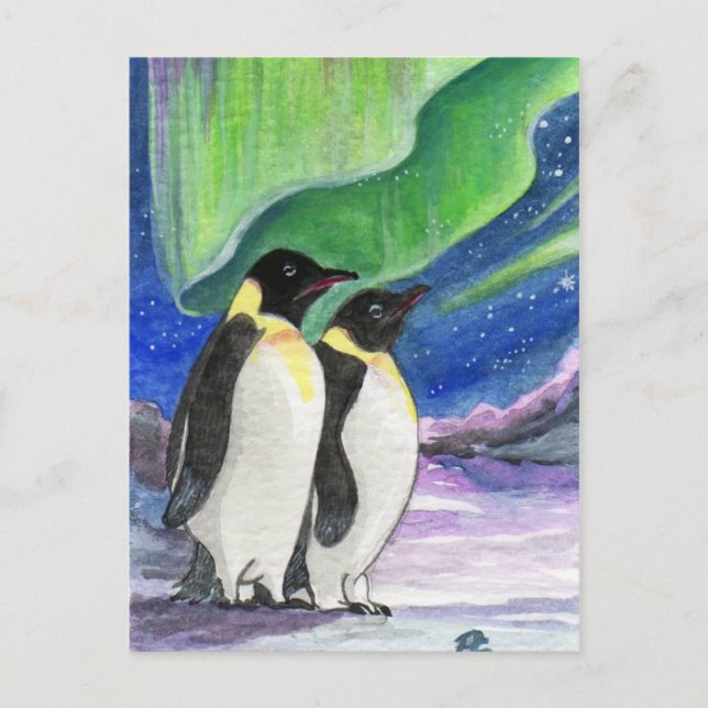 Carte Postale L'Art Du Pingouin Sous La Lumière (Devant)