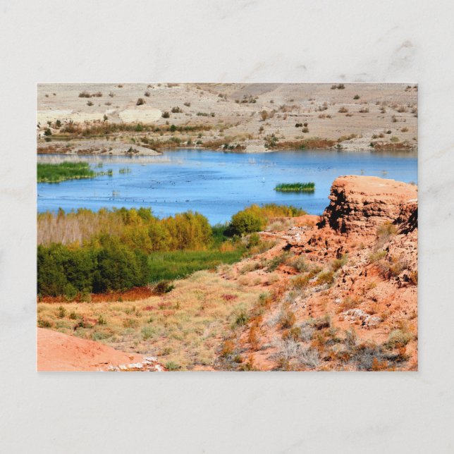 Carte Postale Las Vegas Bay, Lake Mead, Nevada (Devant)