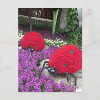 Carte Postale Las Vegas Butterfly Garden Flower Ladybug UNIQUE G