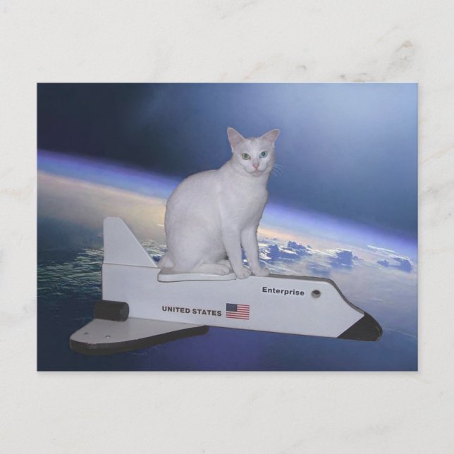 Carte Postale L'astronaute Chat (Esprit) sur navette spatiale (Devant)