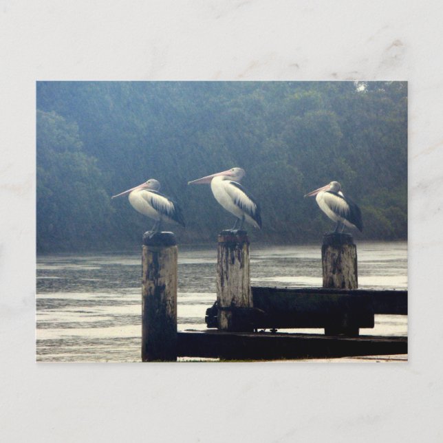 Carte Postale l'attente (Devant)