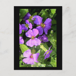 Carte Postale L'aubriète