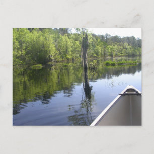 CARTE POSTALE "LAURA S. WALKER STATE PARK"