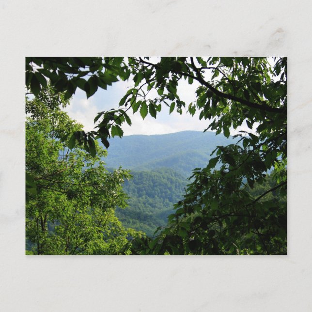 Carte Postale Laurel Falls (Devant)