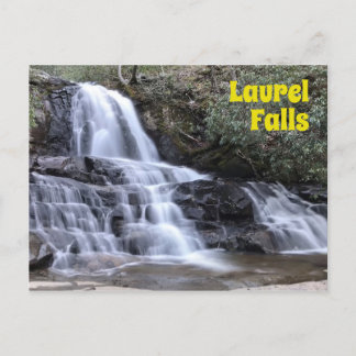 Carte Postale Laurel Falls dans les Great Smoky Mountains