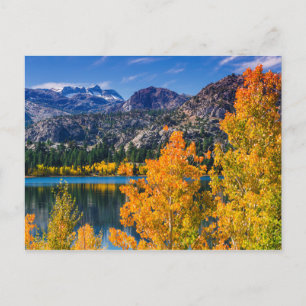 Carte Postale L'automne autour du lac June, Californie