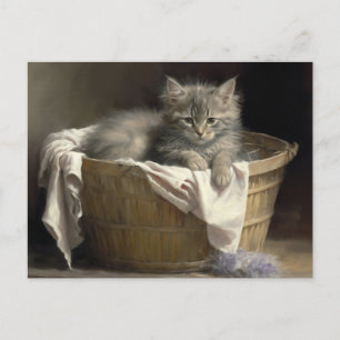 Carte Postale Lave-linge Ou Portrait De Kitten Gris En Temps De 
