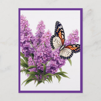 CARTE POSTALE LAVENDER FLOWERS WITH BUTTERFLY