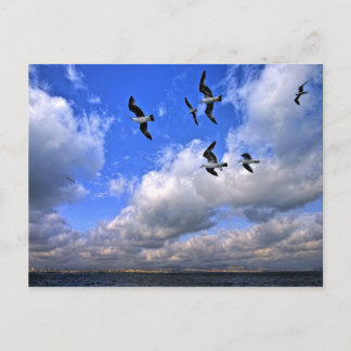 Carte Postale L'aviation de la liberté a jeté nos ailes