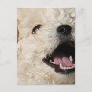 Carte postale Lawrence