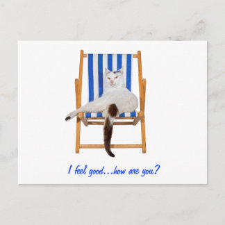 Carte Postale Lazy Day`s