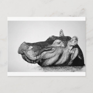 Carte Postale Lazy Hippo