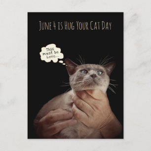 Carte Postale Le 4 juin est la Journée du câlin pour votre chat