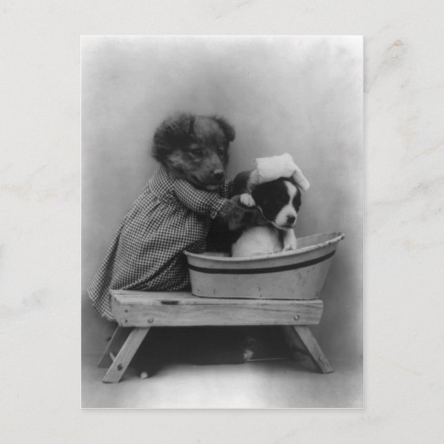 Carte Postale Le Bain (Devant)