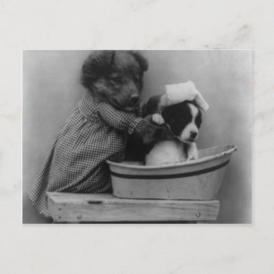 Carte Postale Le Bain