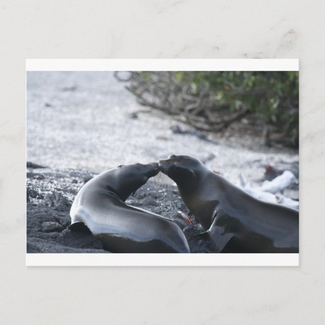 Carte Postale Le baiser (Devant)