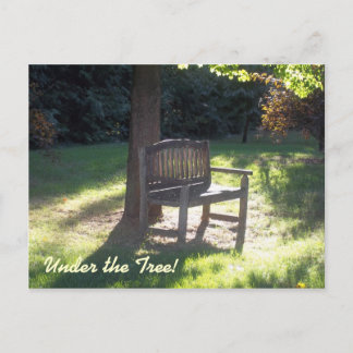 Carte Postale Le banc