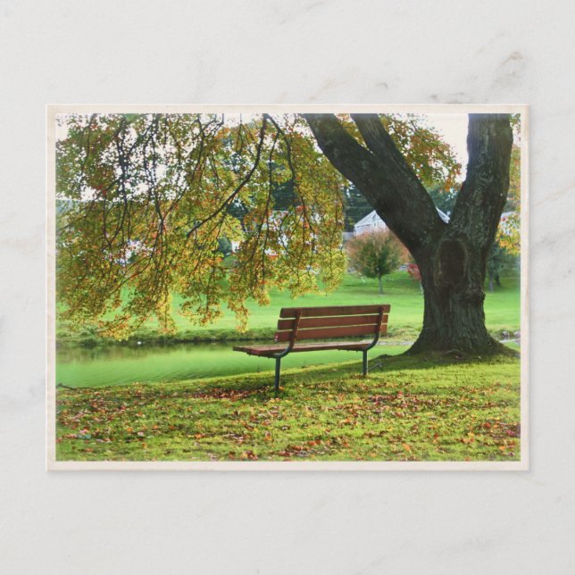 Carte Postale Le Banc sur Memorial Boulevard, Bristol CT (Devant)