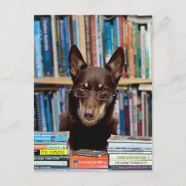 Carte Postale Le bibliothécaire