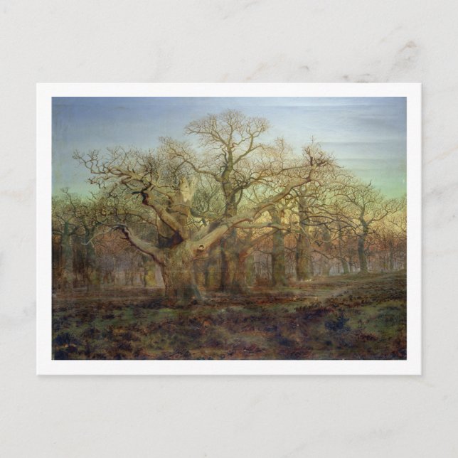 Carte Postale Le bord de la forêt de Sherwood, 1878 (Devant)