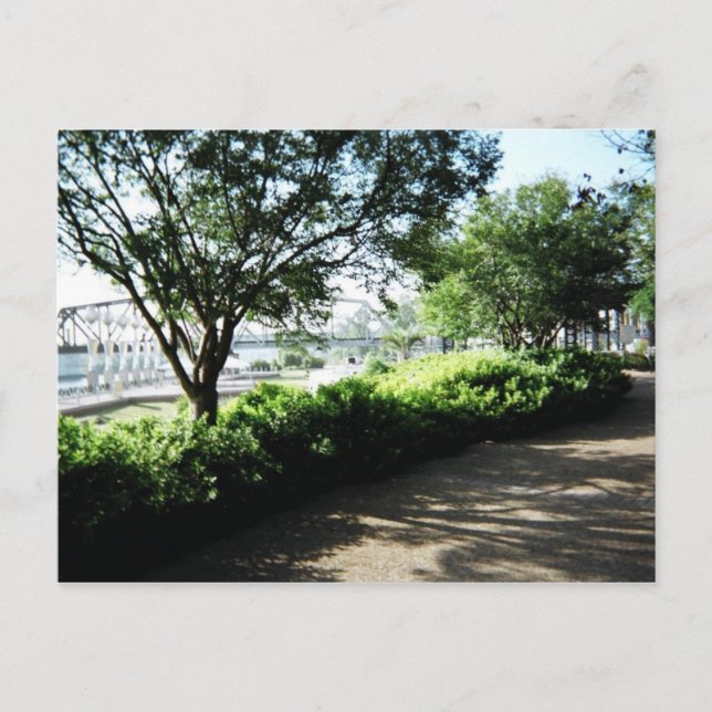 Carte Postale Le bord de la rivière Shreveport (Devant)