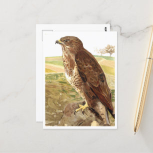 Carte Postale Le buzzard