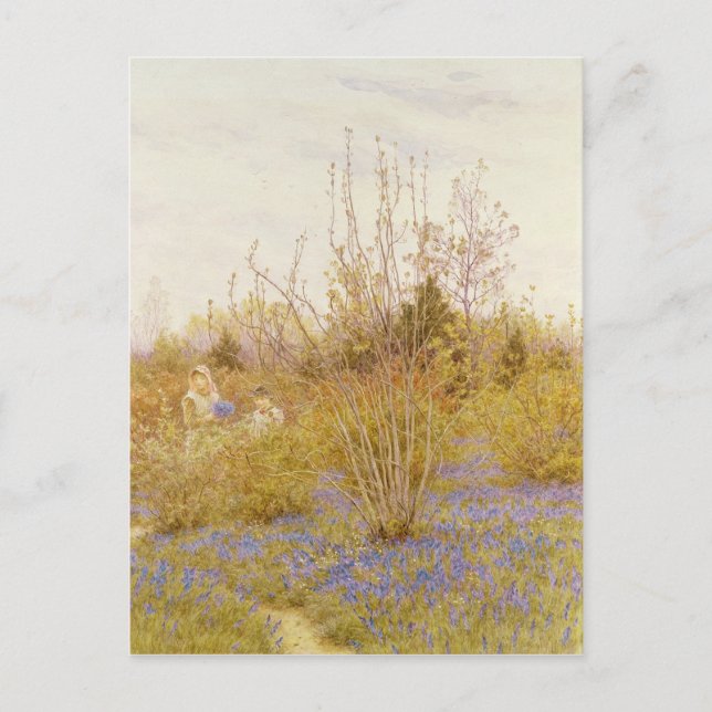 Carte Postale Le cacao (Devant)