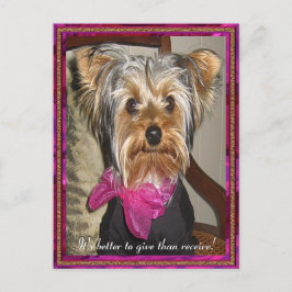 Carte Postale Le cadeau parfait