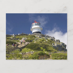 Carte Postale Le Cap, Afrique du Sud. Un phare sur la