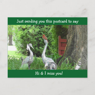 Carte Postale Le cardinal dit Bonjour et Mlle Vous
