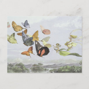 Carte Postale Le Carrosse de la Reine des Fées   Monde Elfique