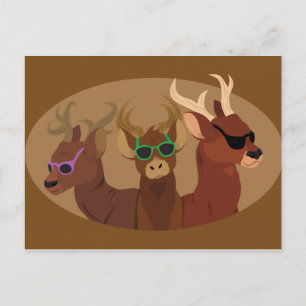 Carte Postale Le cerf porte des lunettes de soleil