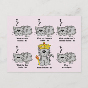 Carte Postale Le chat