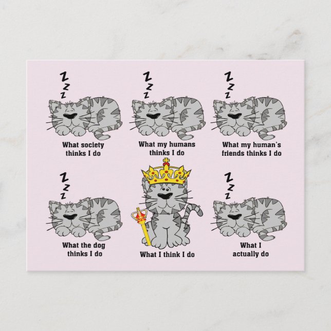 Carte Postale Le chat (Devant)