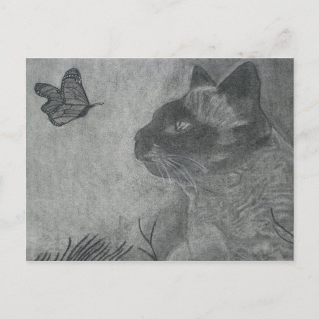 Carte Postale Le chat et le papillon (Devant)
