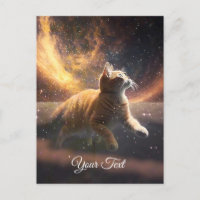 Le chat joue avec les étoiles.