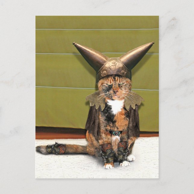 Carte Postale Le chat nordique n'est pas amusé (Devant)